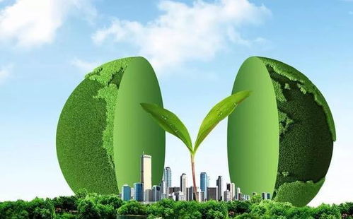 綠化帶在中國(guó)隨處可見,為何注重環(huán)保的歐洲,反而幾乎沒有